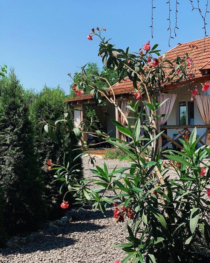 Villa Lukash Yanoshi Exteriér fotografie